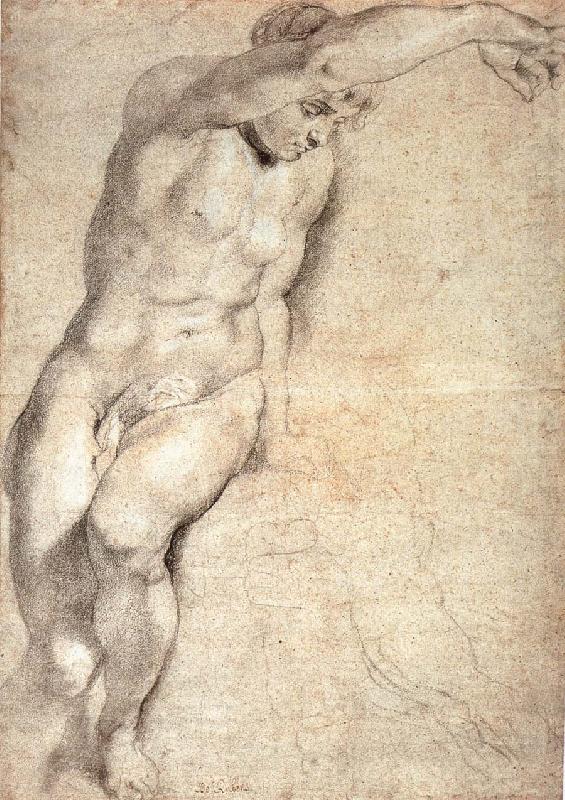 Portrait of naked woman, Peter Paul Rubens